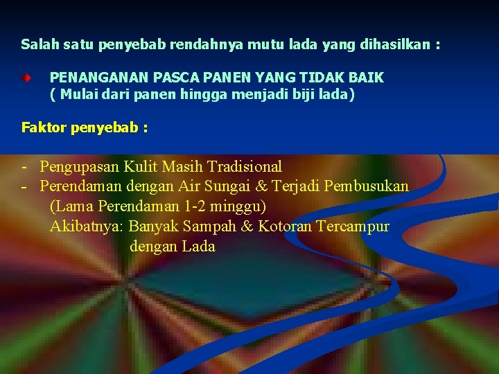 Salah satu penyebab rendahnya mutu lada yang dihasilkan : PENANGANAN PASCA PANEN YANG TIDAK