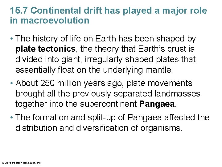 15. 7 Continental drift has played a major role in macroevolution • The history