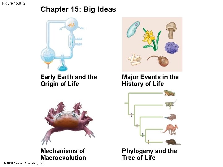 Figure 15. 0_2 Chapter 15: Big Ideas Early Earth and the Origin of Life