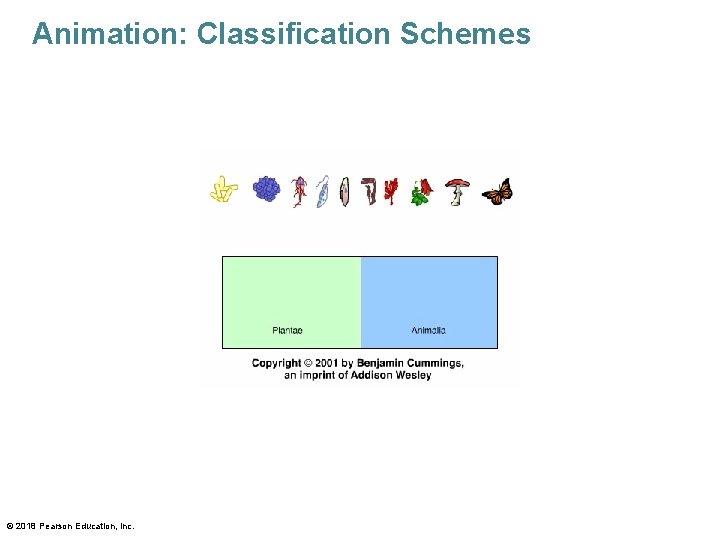 Animation: Classification Schemes © 2018 Pearson Education, Inc. 