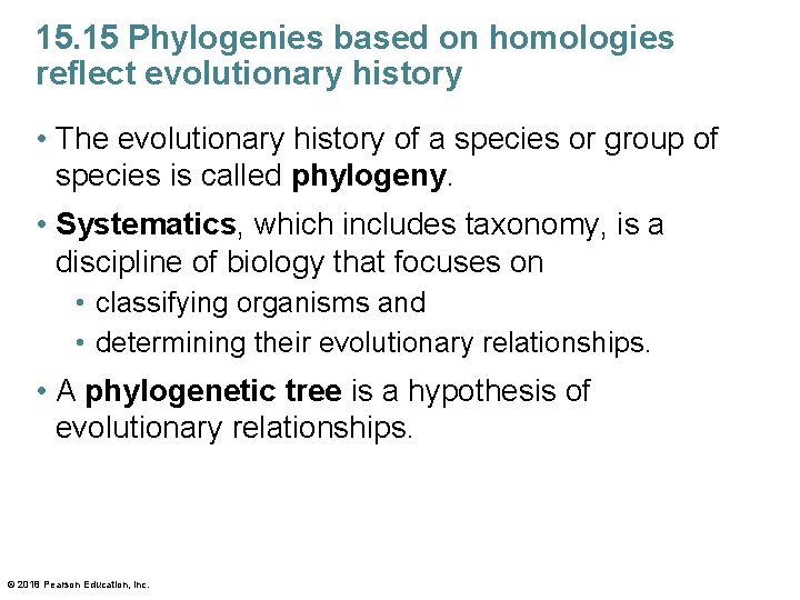 15. 15 Phylogenies based on homologies reflect evolutionary history • The evolutionary history of