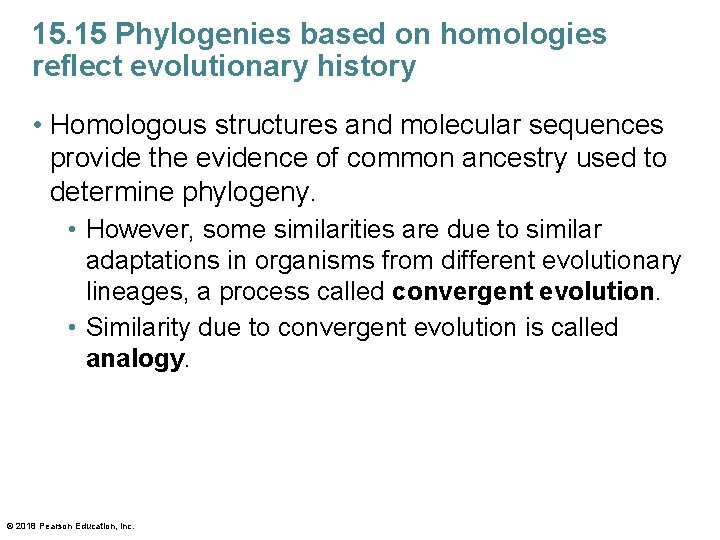 15. 15 Phylogenies based on homologies reflect evolutionary history • Homologous structures and molecular