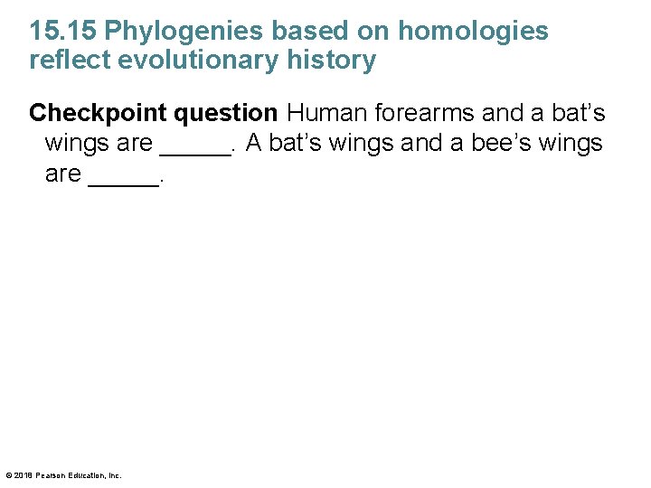 15. 15 Phylogenies based on homologies reflect evolutionary history Checkpoint question Human forearms and