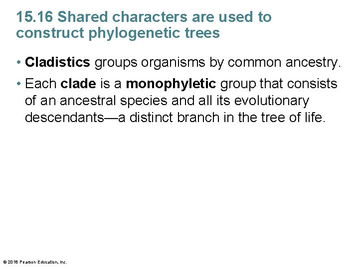 15. 16 Shared characters are used to construct phylogenetic trees • Cladistics groups organisms