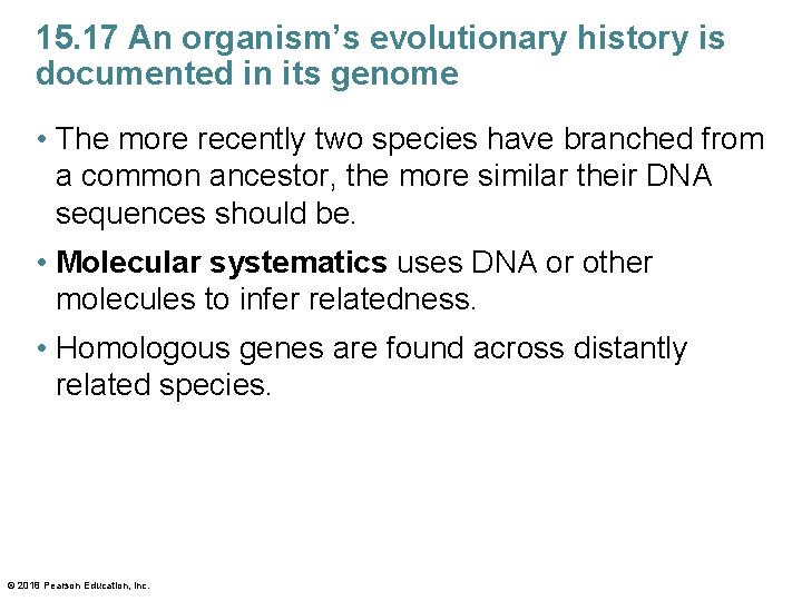 15. 17 An organism’s evolutionary history is documented in its genome • The more