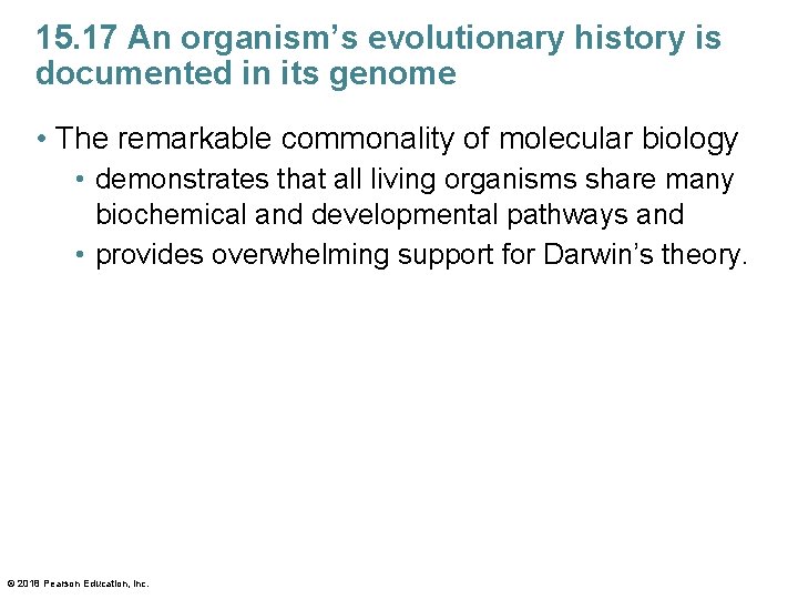 15. 17 An organism’s evolutionary history is documented in its genome • The remarkable
