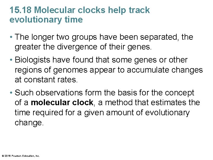 15. 18 Molecular clocks help track evolutionary time • The longer two groups have