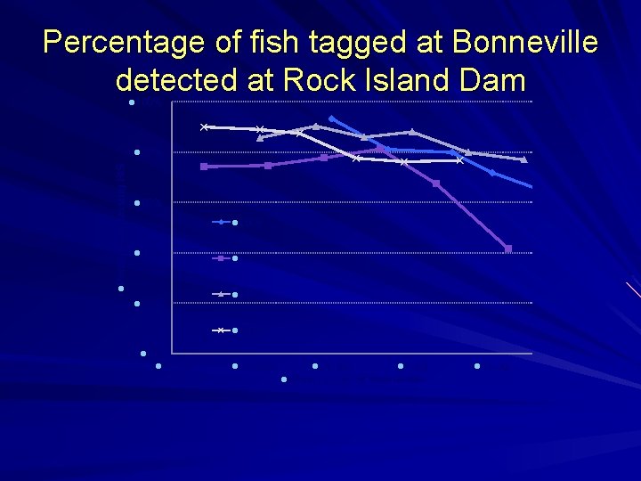 Percentage of fish tagged at Bonneville detected at Rock Island Dam l 100% l.