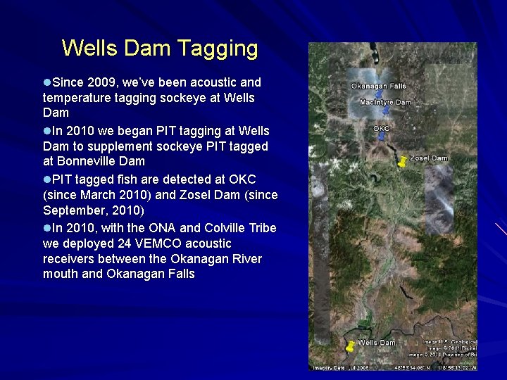 Wells Dam Tagging l. Since 2009, we’ve been acoustic and temperature tagging sockeye at