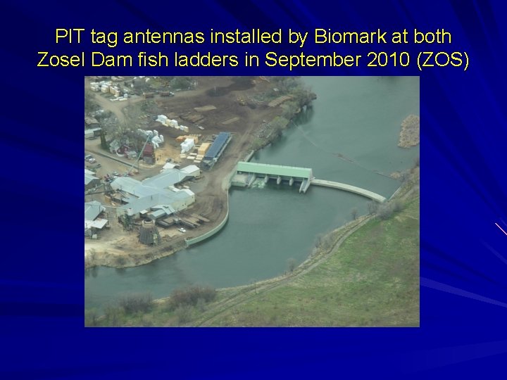 PIT tag antennas installed by Biomark at both Zosel Dam fish ladders in September