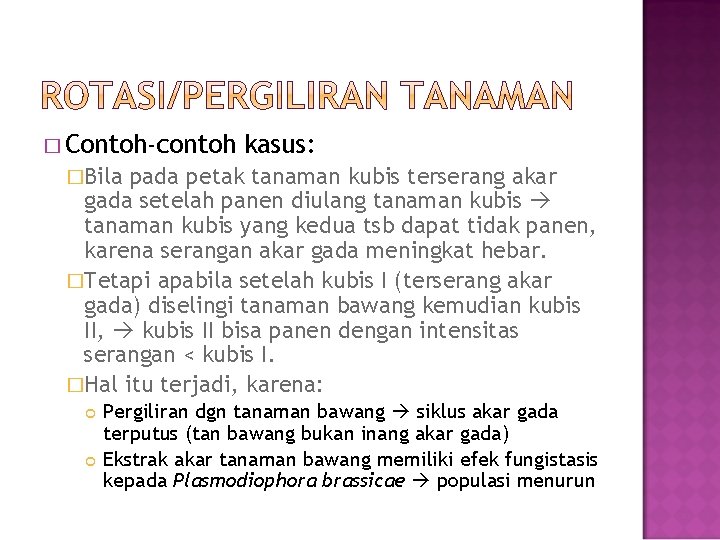 � Contoh-contoh kasus: �Bila pada petak tanaman kubis terserang akar gada setelah panen diulang