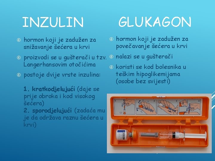 GLUKAGON INZULIN hormon koji je zadužen za snižavanje šećera u krvi hormon koji je