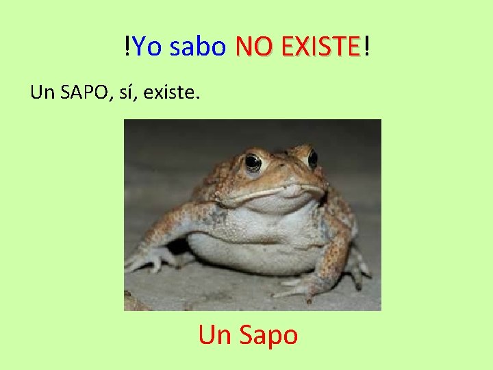 !Yo sabo NO EXISTE! EXISTE Un SAPO, sí, existe. Un Sapo 