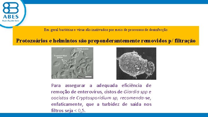 Em geral bactérias e vírus são inativados por meio de processos de desinfecção Protozoários