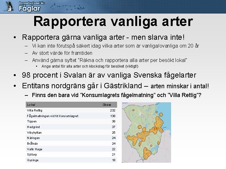 Rapportera vanliga arter • Rapportera gärna vanliga arter - men slarva inte! – Vi