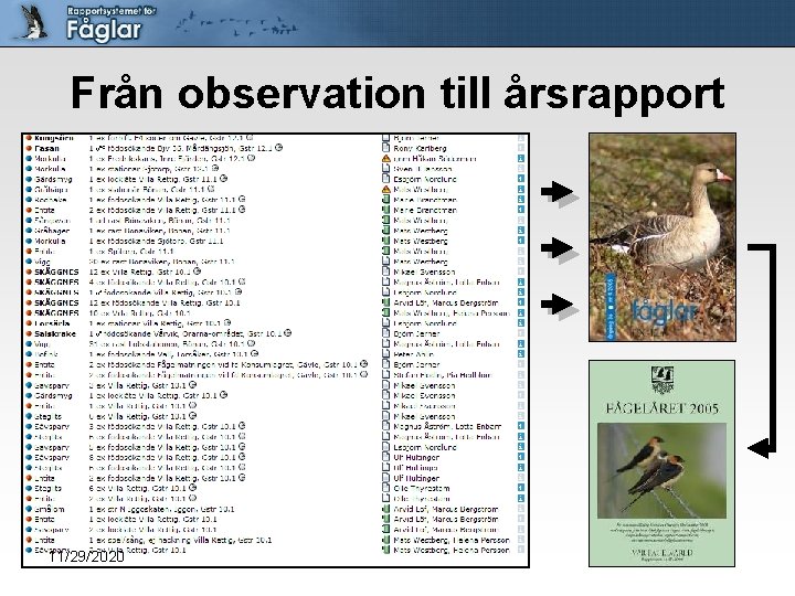 Från observation till årsrapport 11/29/2020 