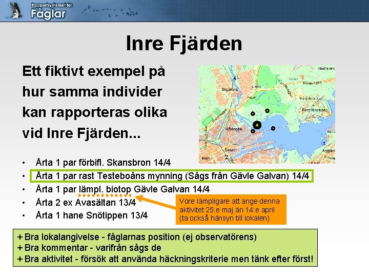 Inre Fjärden Ett fiktivt exempel på hur samma individer kan rapporteras olika vid Inre