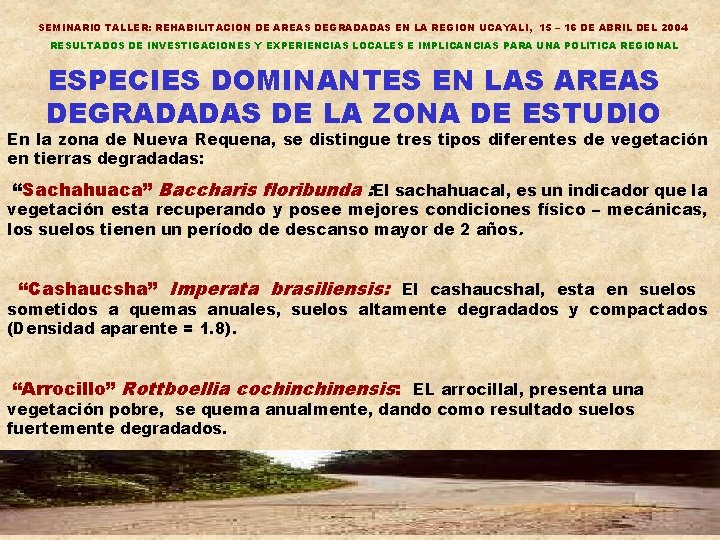 SEMINARIO TALLER: REHABILITACION DE AREAS DEGRADADAS EN LA REGION UCAYALI, 15 – 16 DE
