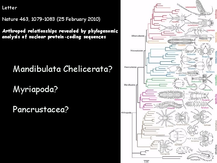 Letter Nature 463, 1079 -1083 (25 February 2010) Arthropod relationships revealed by phylogenomic analysis