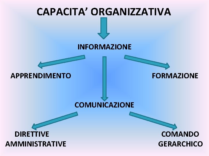 CAPACITA’ ORGANIZZATIVA INFORMAZIONE APPRENDIMENTO FORMAZIONE COMUNICAZIONE DIRETTIVE AMMINISTRATIVE COMANDO GERARCHICO 