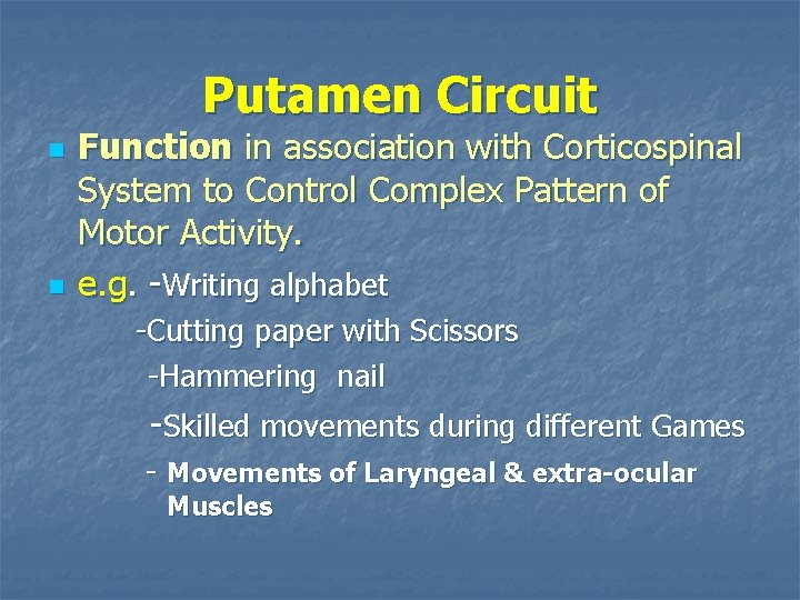 Putamen Circuit n n Function in association with Corticospinal System to Control Complex Pattern