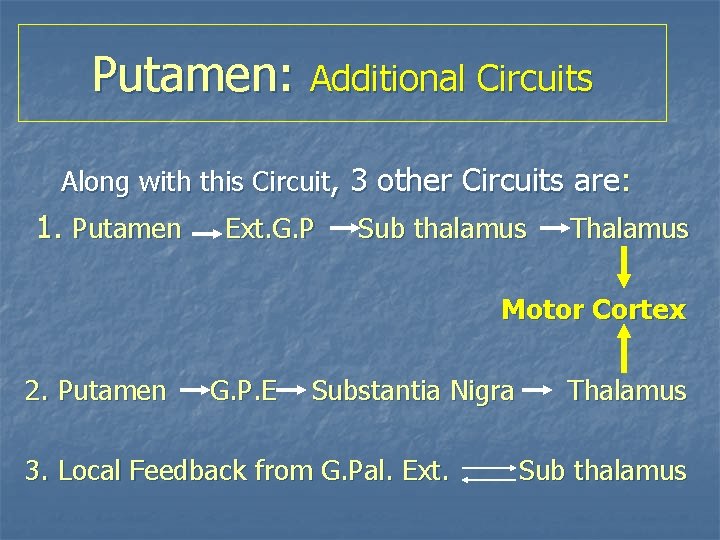 Putamen: Additional Circuits Along with this Circuit, 3 other Circuits are: 1. Putamen Ext.