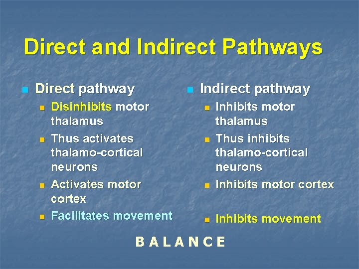 Direct and Indirect Pathways n Direct pathway n n n Disinhibits motor thalamus Thus