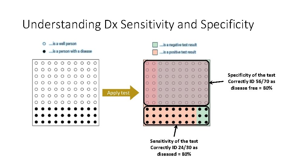 Understanding Dx Sensitivity and Specificity of the test Correctly ID 56/70 as disease free