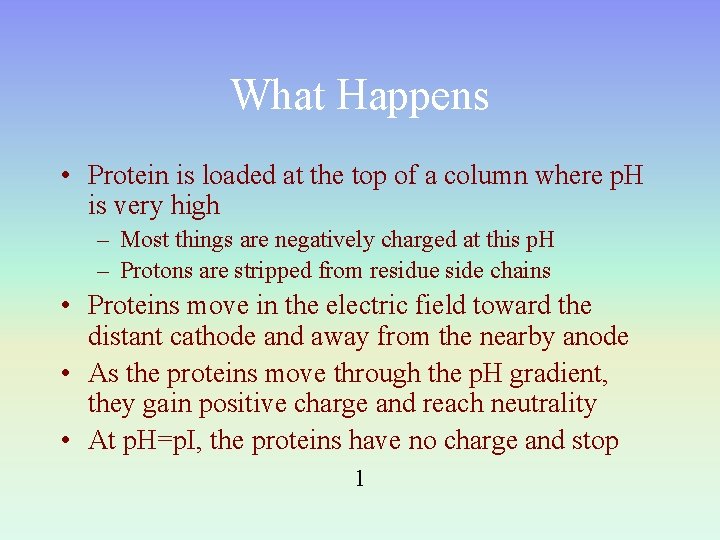 What Happens • Protein is loaded at the top of a column where p.