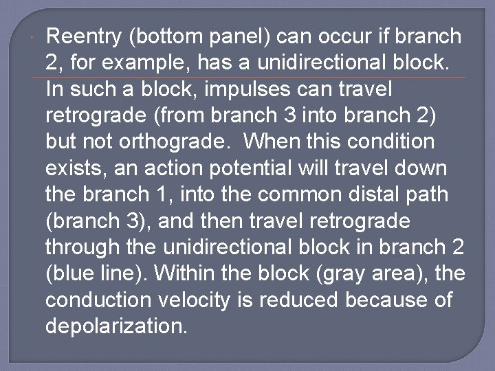  Reentry (bottom panel) can occur if branch 2, for example, has a unidirectional