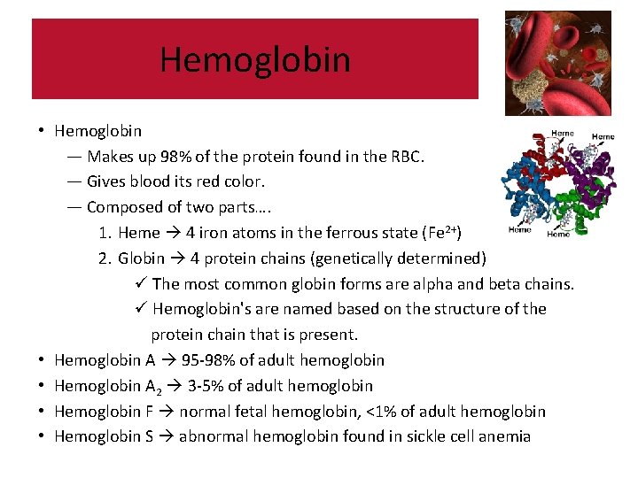 Hemoglobin • Hemoglobin — Makes up 98% of the protein found in the RBC.