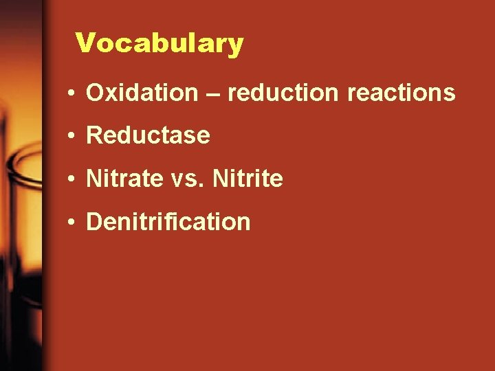 Vocabulary • Oxidation – reduction reactions • Reductase • Nitrate vs. Nitrite • Denitrification