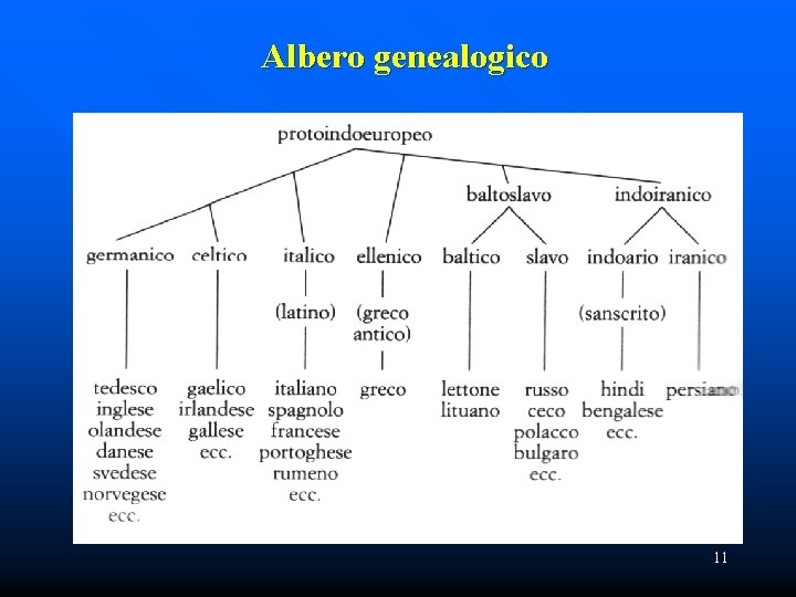 Albero genealogico 11 
