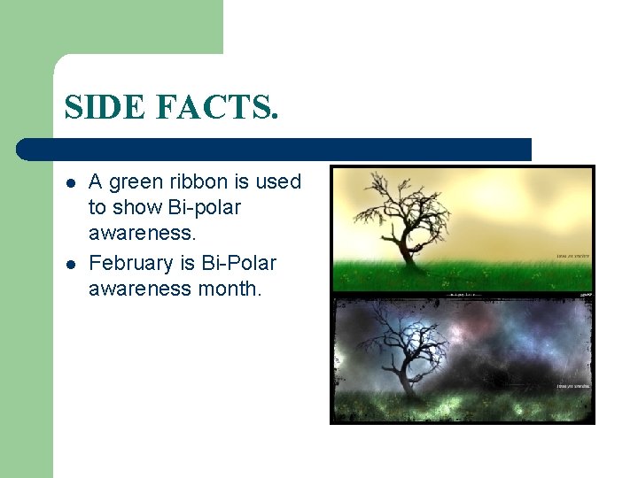 SIDE FACTS. l l A green ribbon is used to show Bi-polar awareness. February