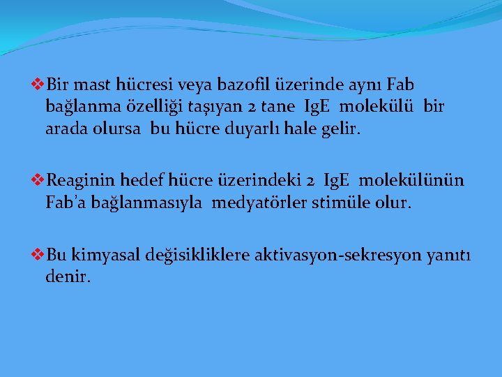 v. Bir mast hücresi veya bazofil üzerinde aynı Fab bağlanma özelliği taşıyan 2 tane