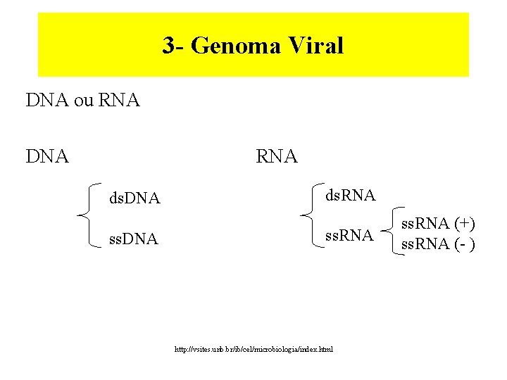 3 - Genoma Viral DNA ou RNA DNA RNA ds. DNA ss. DNA ds.