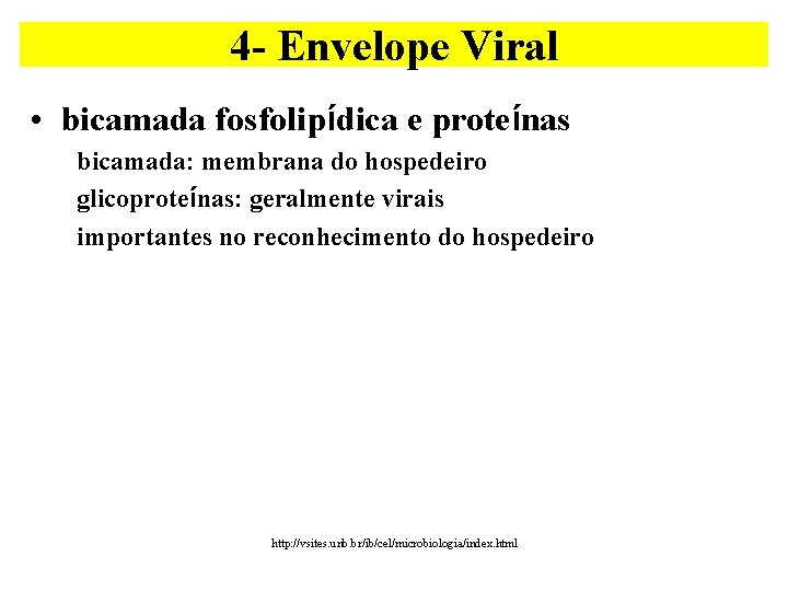 4 - Envelope Viral • bicamada fosfolipídica e proteínas bicamada: membrana do hospedeiro glicoproteínas: