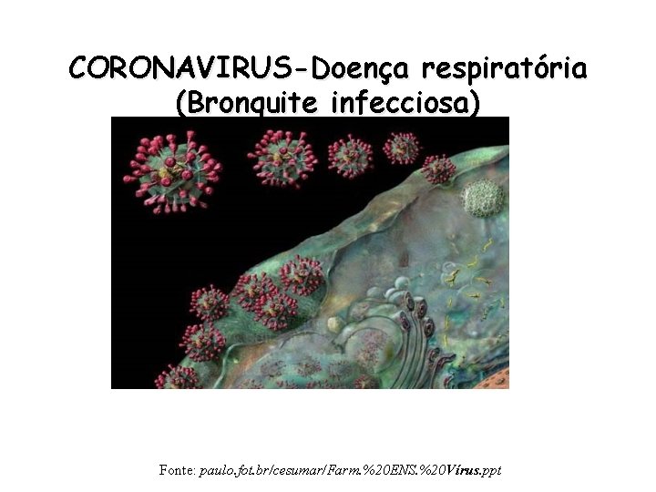 CORONAVIRUS-Doença respiratória (Bronquite infecciosa) Fonte: paulo. fot. br/cesumar/Farm. %20 ENS. %20 Vírus. ppt 