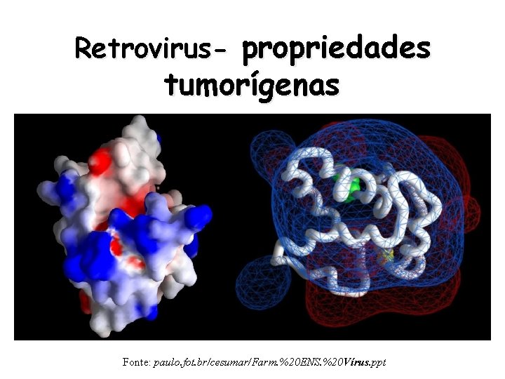 Retrovirus- propriedades tumorígenas Fonte: paulo. fot. br/cesumar/Farm. %20 ENS. %20 Vírus. ppt 