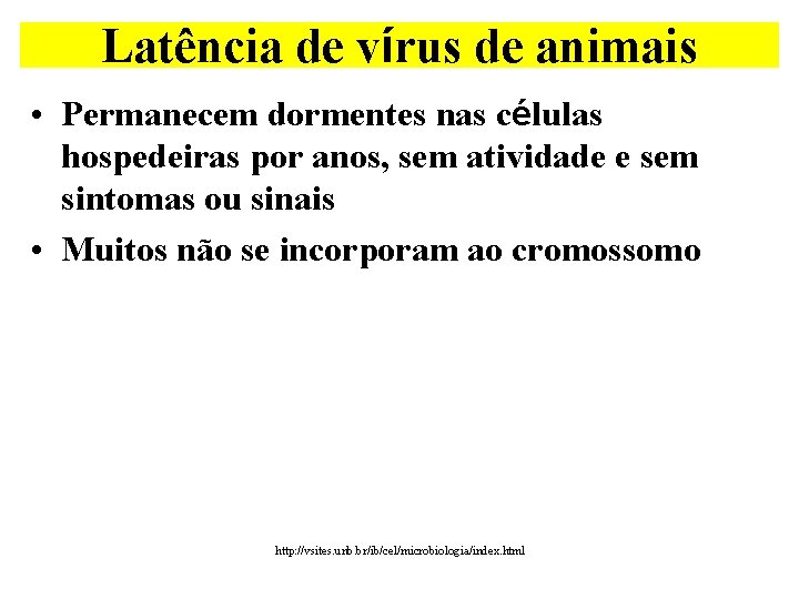 Latência de vírus de animais • Permanecem dormentes nas células hospedeiras por anos, sem