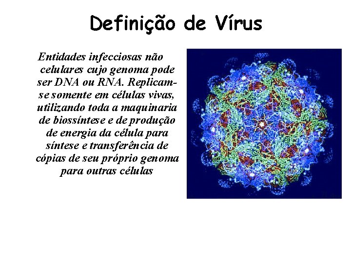 Definição de Vírus Entidades infecciosas não celulares cujo genoma pode ser DNA ou RNA.