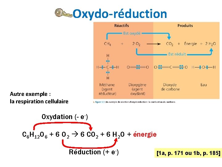 Oxydo-réduction Autre exemple : la respiration cellulaire Oxydation (- e-) C 6 H 12