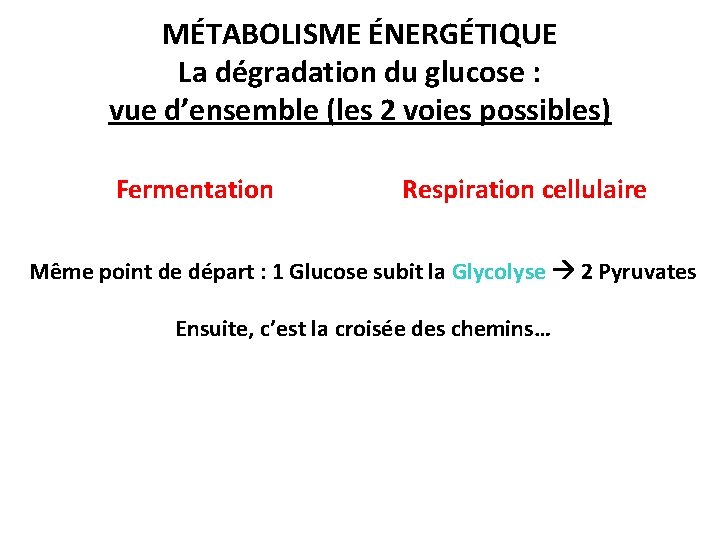 MÉTABOLISME ÉNERGÉTIQUE La dégradation du glucose : vue d’ensemble (les 2 voies possibles) Fermentation