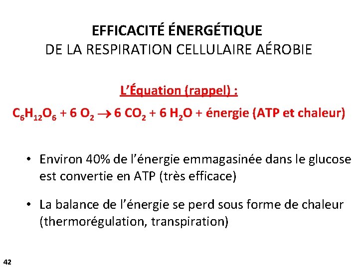 EFFICACITÉ ÉNERGÉTIQUE DE LA RESPIRATION CELLULAIRE AÉROBIE L’Équation (rappel) : C 6 H 12