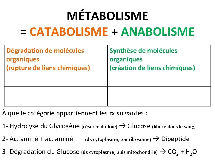 MÉTABOLISME = CATABOLISME + ANABOLISME Dégradation de molécules organiques (rupture de liens chimiques) Synthèse