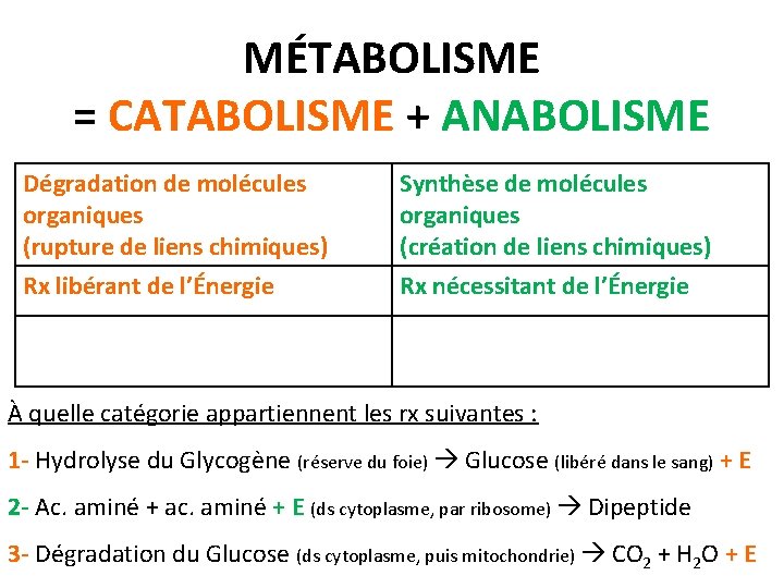 MÉTABOLISME = CATABOLISME + ANABOLISME Dégradation de molécules organiques (rupture de liens chimiques) Synthèse