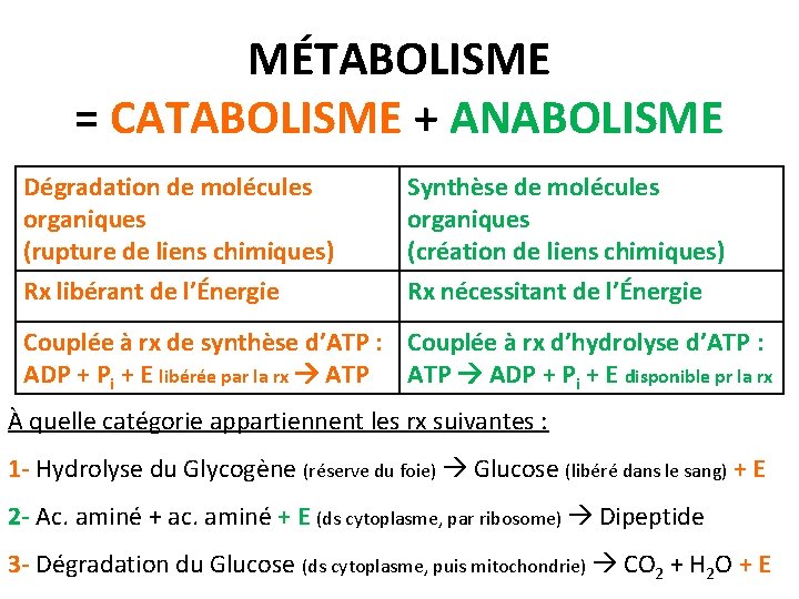 MÉTABOLISME = CATABOLISME + ANABOLISME Dégradation de molécules organiques (rupture de liens chimiques) Synthèse