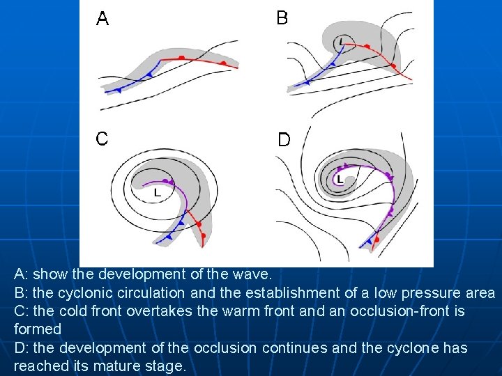 A: show the development of the wave. B: the cyclonic circulation and the establishment