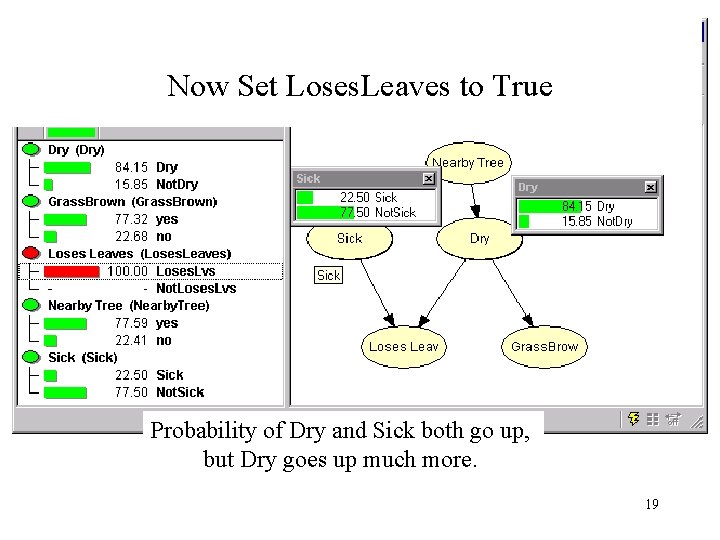 Now Set Loses. Leaves to True Probability of Dry and Sick both go up,