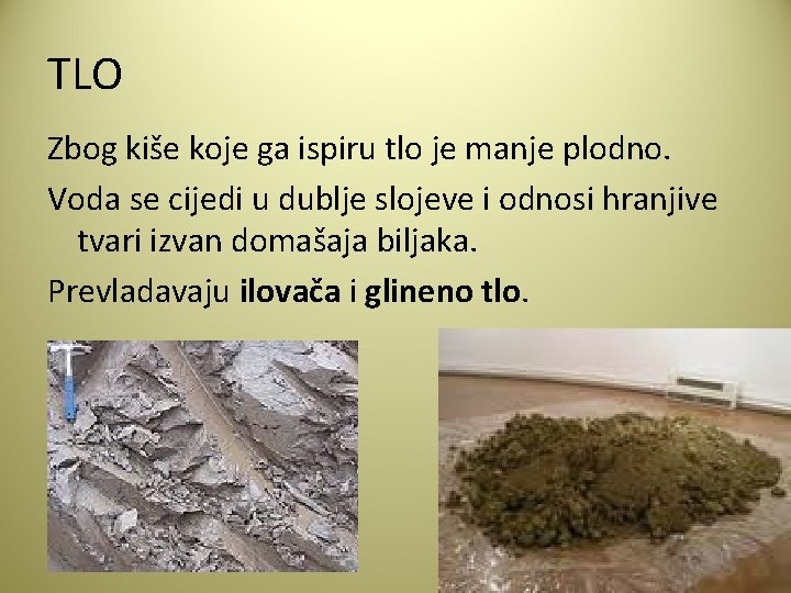 TLO Zbog kiše koje ga ispiru tlo je manje plodno. Voda se cijedi u